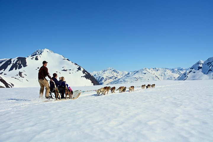 Dogsledding on Punchbowl Glacier